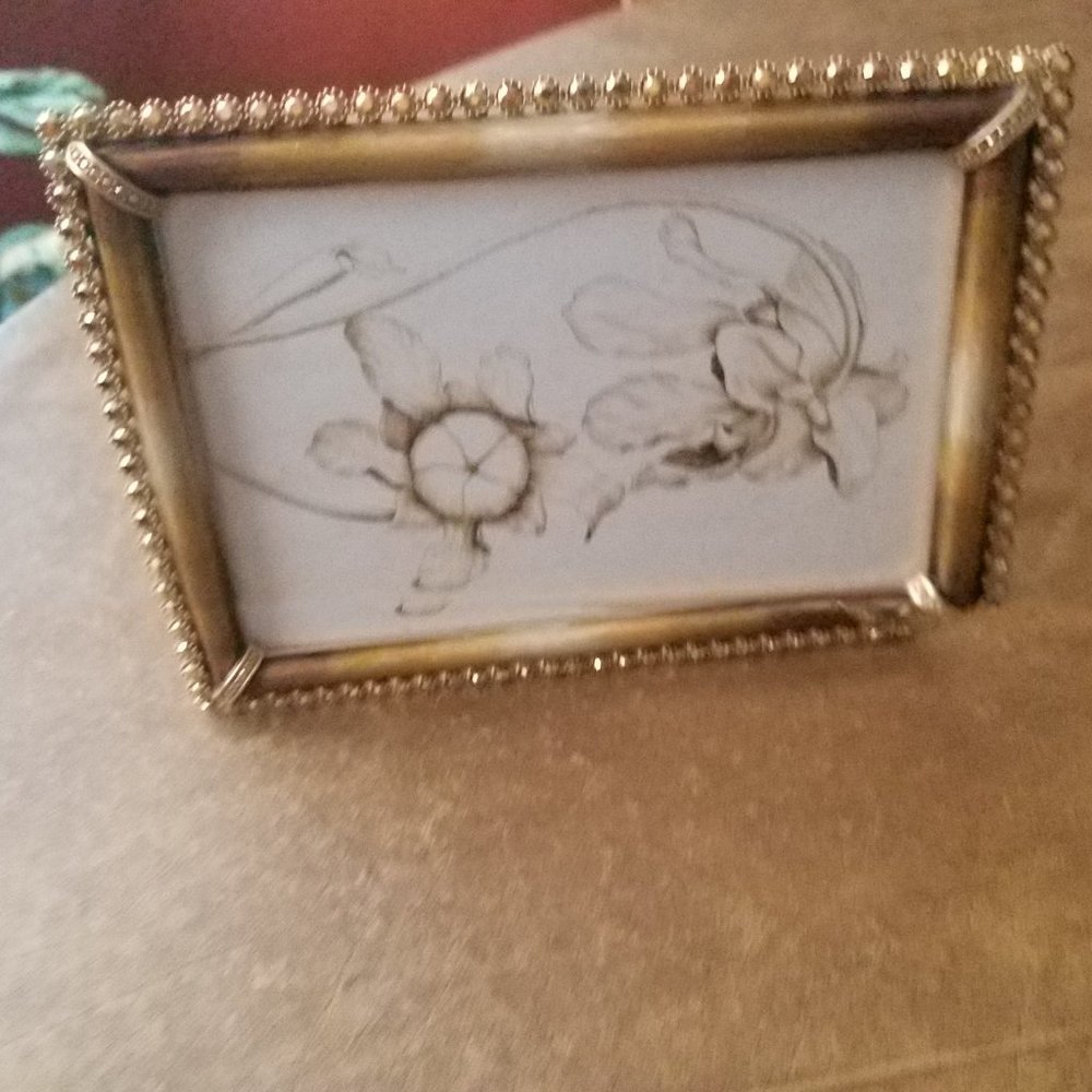 RARE JAY STRONGWATER JUNGLE LORRAINE LUCAS OMBRE GOLD PAVE CRYSTAL ENAMEL FRAME
